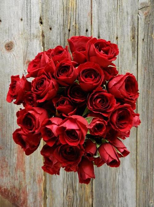  RED SPRAY ROSES